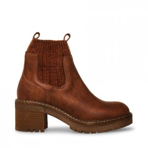Botas Chelsea Steve Madden Apollo Block Mujer Marrom | 3801967-SQ