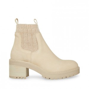 Botas Chelsea Steve Madden Apollo Block Mujer Beige | 7620145-SI