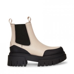 Botas Chelsea Steve Madden Nicki Lug Sole Mujer Grises Marrom | 9203746-SN