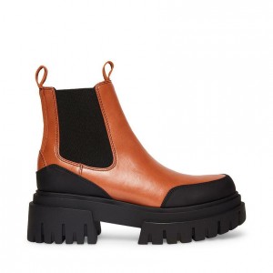Botas Chelsea Steve Madden Nicki Lug Sole Mujer Marrom | 6972418-UY