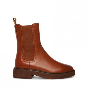 Botas Chelsea Steve Madden Watson Mujer Marrom | 4169205-IP