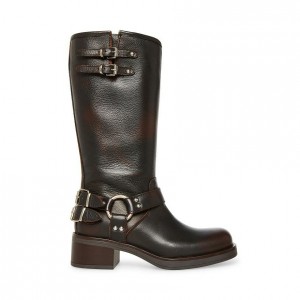 Botas Hasta La Rodilla Steve Madden Axelle Mujer Marrom | 4892173-EV