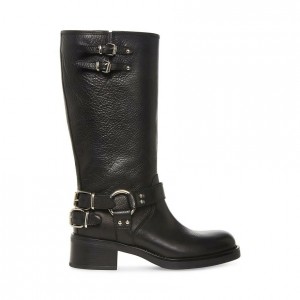 Botas Hasta La Rodilla Steve Madden Axelle Mujer Negros | 0217684-VG