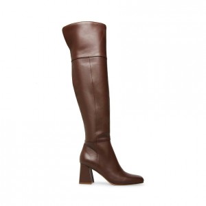 Botas Hasta La Rodilla Steve Madden Common Mujer Marrom | 9641732-FT