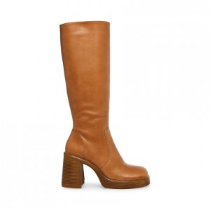 Botas Hasta La Rodilla Steve Madden Fanatik Mujer Marrom | 2709561-DE