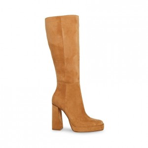 Botas Hasta La Rodilla Steve Madden Frankie Mujer Marrom | 0154268-VT