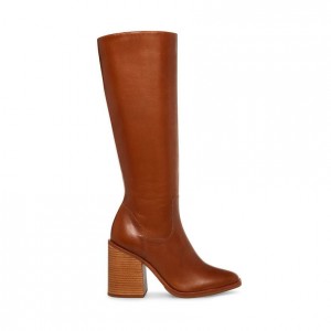 Botas Hasta La Rodilla Steve Madden Liza Mujer Marrom | 3781509-GZ