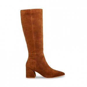 Botas Hasta La Rodilla Steve Madden Montana Mujer Marrom | 4903587-TM