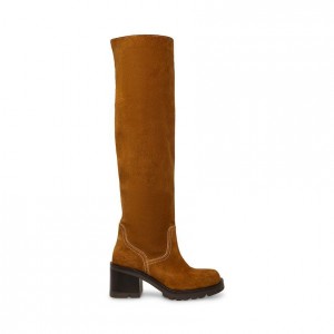 Botas Hasta La Rodilla Steve Madden Notion Mujer Marrom | 9710852-WN