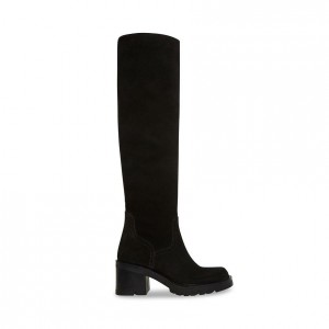 Botas Hasta La Rodilla Steve Madden Notion Mujer Negros | 8512046-KQ