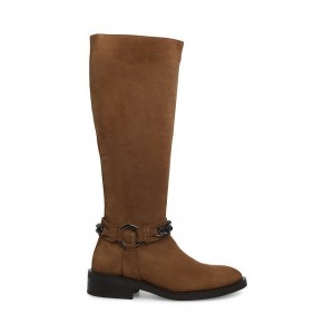 Botas Hasta La Rodilla Steve Madden Quin Mujer Grises Marrom | 3761402-MB