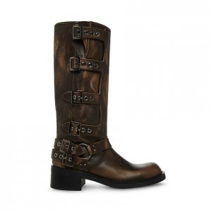 Botas Hasta La Rodilla Steve Madden Rocky Distressed Mujer Marrom | 2189453-GN