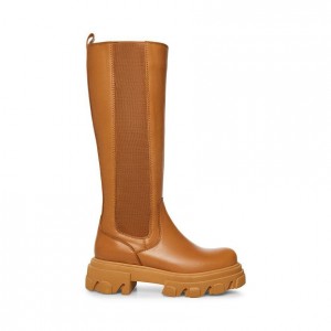 Botas Hasta La Rodilla Steve Madden Wayde Mujer Marrom | 5826713-RE