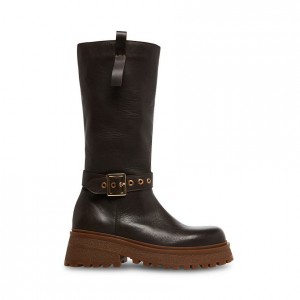 Botas Hasta La Rodilla Steve Madden Willow Lug Sole Mujer Marrom | 7185934-CV