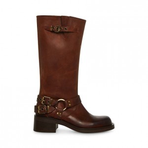 Botas Hasta La Rodilla Steve Madden Zenna Mujer Marrom | 9210367-VH