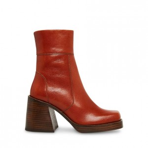 Botas Plataforma Steve Madden Asset Block Mujer Marrom | 3196825-BW