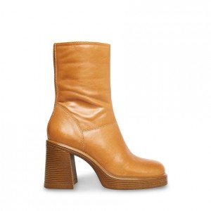 Botas Plataforma Steve Madden Fantsie Stacked Mujer Marrom | 2739461-XJ