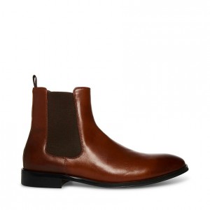Botas Steve Madden Adamo Hombre Marrom | 3914265-ND