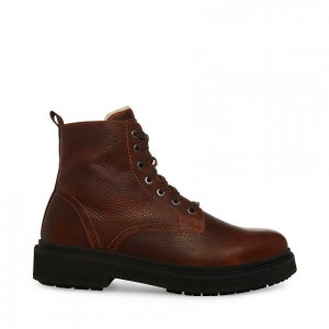Botas Steve Madden Denalii Hombre Marrom | 3092486-QY