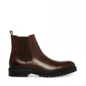 Botas Steve Madden Duren Hombre Marrom | 7604351-FU