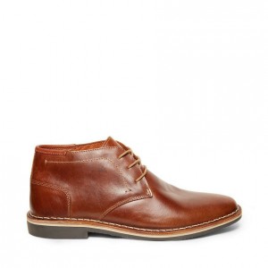 Botas Steve Madden Harken Hombre Marrom | 5129463-UZ