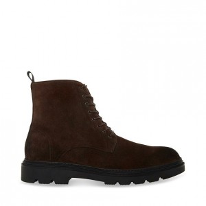 Botas Steve Madden Jessee Lace Up Hombre Marrom | 5726349-CR