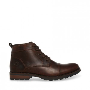 Botas Steve Madden Lanier Hombre Marrom | 9428305-EH