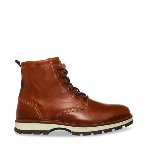Botas Steve Madden Lucius Lace Up Hombre Marrom | 4328019-XG