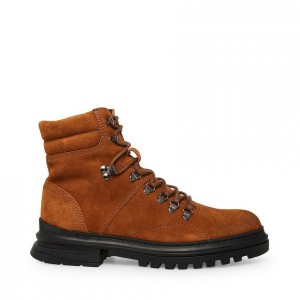 Botas Steve Madden Monty Lace Up Hombre Marrom | 5198473-SD