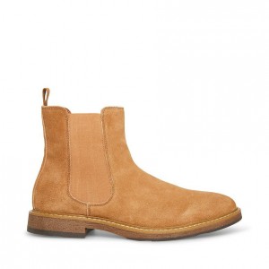 Botas Steve Madden Pedro Hombre Marrom | 3540297-EW