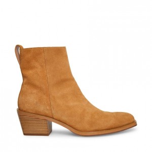Botas Steve Madden Richie Hombre Marrom | 0465831-FC