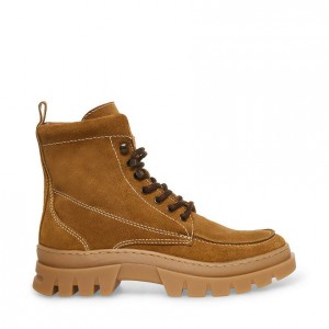 Botas Steve Madden Wager Lug Sole Hombre Marrom | 5913208-LM