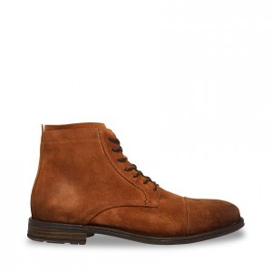 Botas Steve Madden Wells Hombre Marrom | 9502674-HW