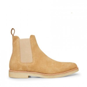 Botas Steve Madden Wilshire Hombre Marrom | 6241398-YI