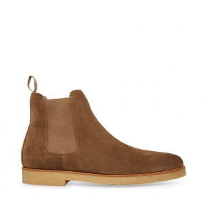 Botas Steve Madden Wilshire-s Chelsea Hombre Grises Marrom | 3248105-WQ