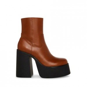 Botas de Tacon Steve Madden Acacia Mujer Marrom | 5678120-QO