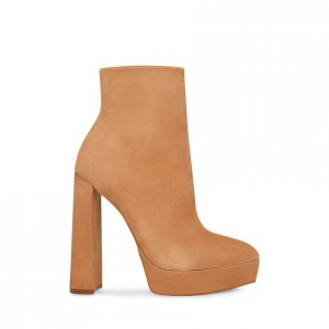 Botas de Tacon Steve Madden Dalina Mujer Marrom | 1794536-NP