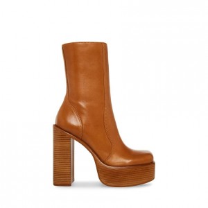 Botas de Tacon Steve Madden Dwane Mujer Marrom | 6594031-XW
