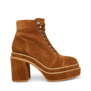 Botas de Tacon Steve Madden Ember Lace Up Block Mujer Marrom | 6847130-VI