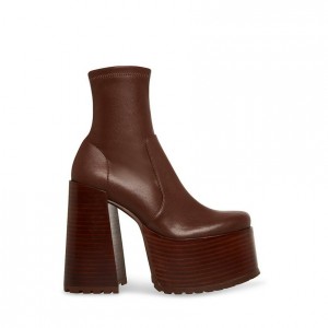 Botas de Tacon Steve Madden Kyana Mujer Marrom | 5864397-YT