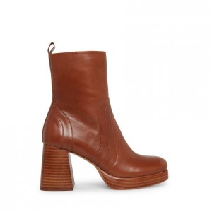 Botas de Tacon Steve Madden Maggie Mujer Marrom | 8753426-EO