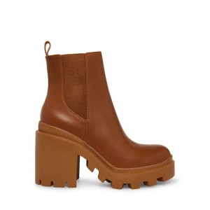 Botas de Tacon Steve Madden Roxie Chelsea Mujer Marrom | 7214360-MB