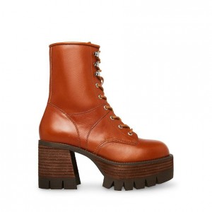 Botas de combate Steve Madden Trevor Block Mujer Marrom | 2198746-NM
