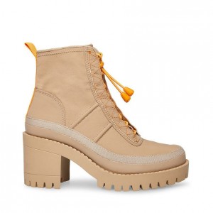 Botines Steve Madden Contender Mujer Kaki Multicolor | 8214375-RW