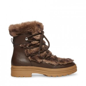 Botines Steve Madden Dione Mujer Marrom Multicolor | 1470285-IM