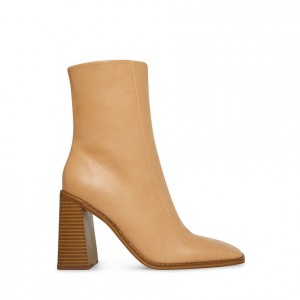 Botines Steve Madden Donna Block Mujer Marrom | 1679450-NS
