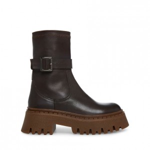 Botines Steve Madden Everly Lug Sole Mujer Marrom | 2190648-KY