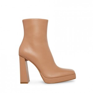 Botines Steve Madden Felicity Mujer Rosas | 8754610-SP