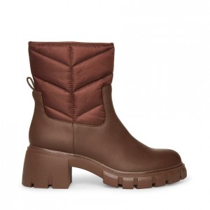 Botines Steve Madden Haldan Mujer Marrom | 7310869-ZH