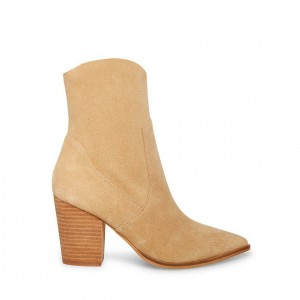 Botines Steve Madden Janetta Mujer Marrom | 7251369-IB